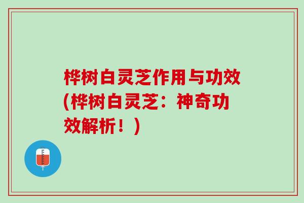 桦树白灵芝作用与功效(桦树白灵芝：神奇功效解析！)