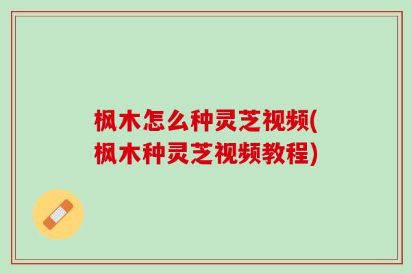 枫木怎么种灵芝视频(枫木种灵芝视频教程)