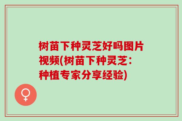 树苗下种灵芝好吗图片视频(树苗下种灵芝：种植专家分享经验)