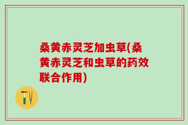 桑黄赤灵芝加虫草(桑黄赤灵芝和虫草的联合作用) 桑黄赤灵芝加虫草(桑黄赤灵芝和虫草的联合作用)