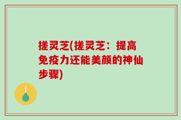 搓灵芝(搓灵芝：提高免疫力还能美颜的神仙步骤)