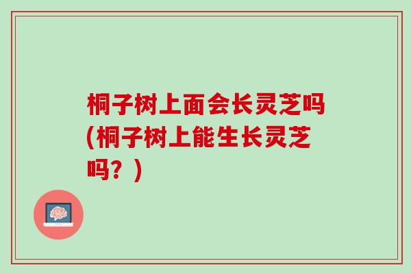桐子树上面会长灵芝吗(桐子树上能生长灵芝吗?) 桐子树上面会长灵芝吗(桐子树上能生长灵芝吗?)