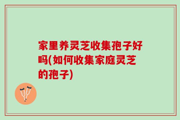 家里养灵芝收集孢子好吗(如何收集家庭灵芝的孢子)