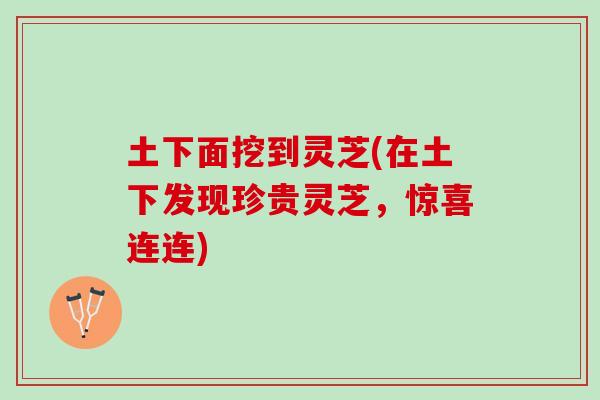 土下面挖到灵芝(在土下发现珍贵灵芝，惊喜连连)