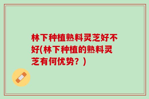 林下种植熟料灵芝好不好(林下种植的熟料灵芝有何优势？)