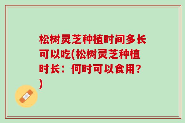 松树灵芝种植时间多长可以吃(松树灵芝种植时长：何时可以食用？)