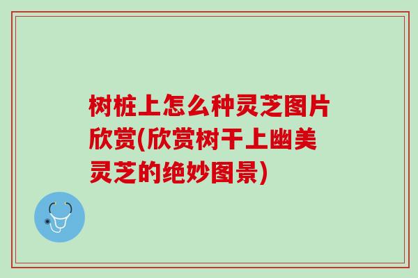 树桩上怎么种灵芝图片欣赏(欣赏树干上幽美灵芝的绝妙图景) 树桩上怎么种灵芝图片欣赏(欣赏树干上幽美灵芝的绝妙图景)