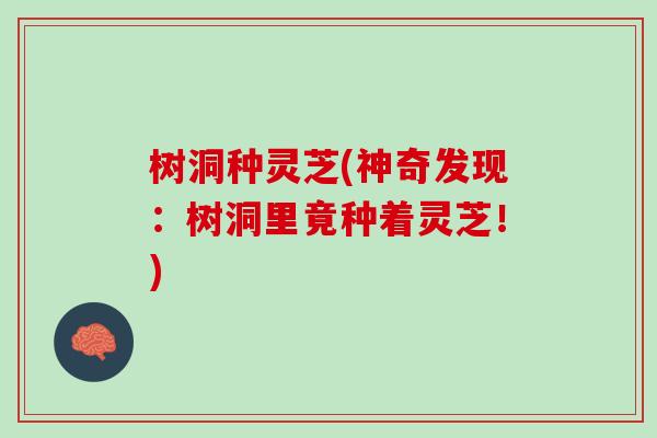 树洞种灵芝(神奇发现：树洞里竟种着灵芝！)