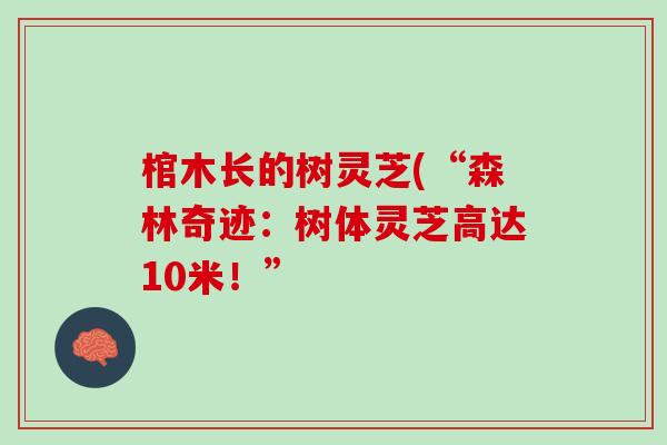 棺木长的树灵芝(“森林奇迹:树体灵芝高达10米!” 棺木长的树灵芝(“森林奇迹:树体灵芝高达10米!”