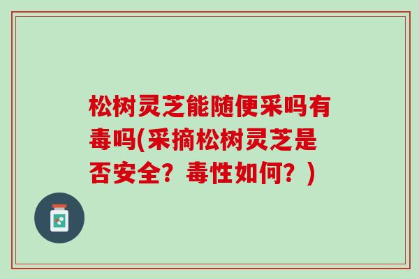 松树灵芝能随便采吗有毒吗(采摘松树灵芝是否安全？毒性如何？)