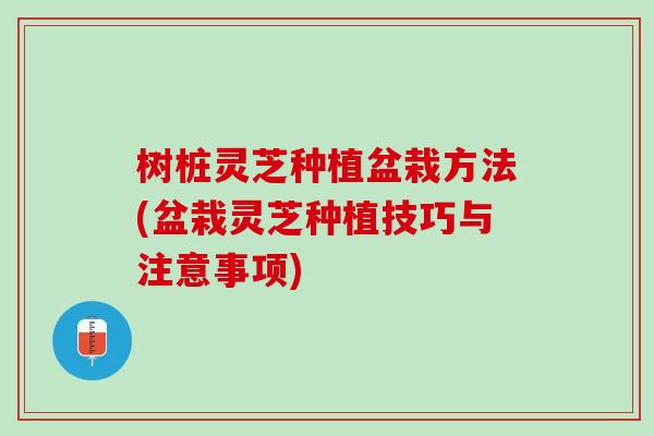 树桩灵芝种植盆栽方法(盆栽灵芝种植技巧与注意事项)