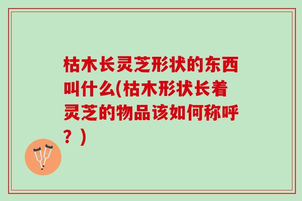 枯木长灵芝形状的东西叫什么(枯木形状长着灵芝的物品该如何称呼？)