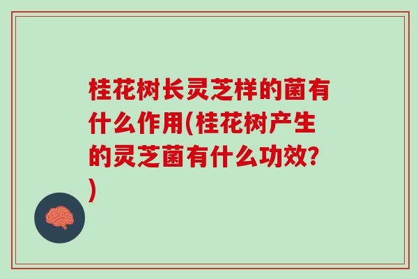 桂花树长灵芝样的菌有什么作用(桂花树产生的灵芝菌有什么功效？)