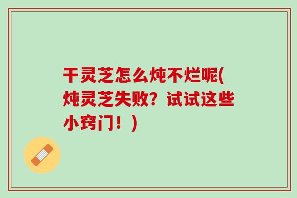 干灵芝怎么炖不烂呢(炖灵芝失败？试试这些小窍门！)