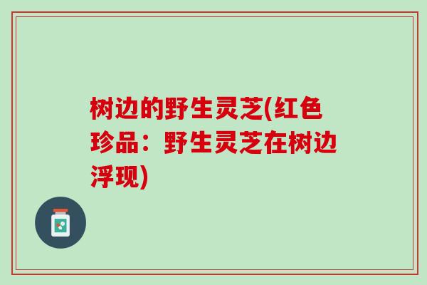树边的野生灵芝(红色珍品:野生灵芝在树边浮现) 树边的野生灵芝(红色珍品:野生灵芝在树边浮现)
