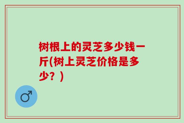 树根上的灵芝多少钱一斤(树上灵芝价格是多少？)