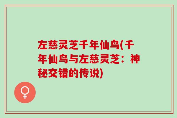 左慈灵芝千年仙鸟(千年仙鸟与左慈灵芝：神秘交错的传说)