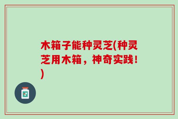 木箱子能种灵芝(种灵芝用木箱,神奇实践!) 木箱子能种灵芝(种灵芝用木箱,神奇实践!)