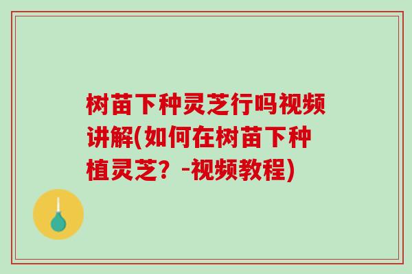 树苗下种灵芝行吗视频讲解(如何在树苗下种植灵芝？-视频教程)