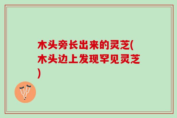 木头旁长出来的灵芝(木头边上发现罕见灵芝)