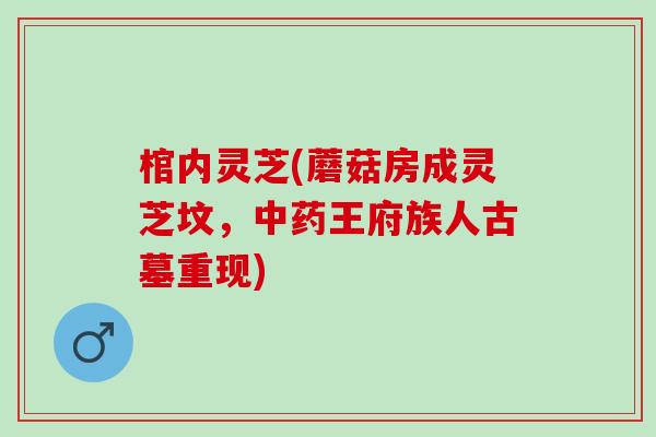 棺内灵芝(蘑菇房成灵芝坟，中药王府族人古墓重现)