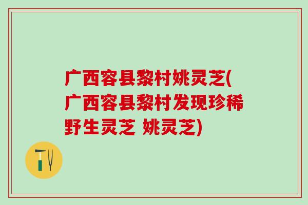 广西容县黎村姚灵芝(广西容县黎村发现珍稀野生灵芝 姚灵芝)