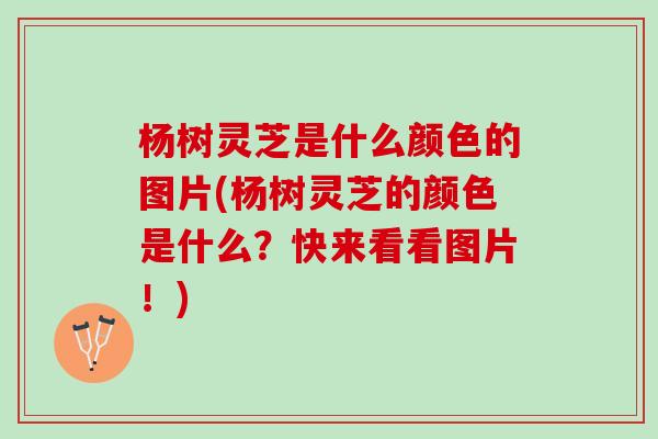 杨树灵芝是什么颜色的图片(杨树灵芝的颜色是什么？快来看看图片！)