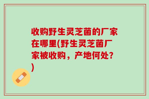 收购野生灵芝菌的厂家在哪里(野生灵芝菌厂家被收购，产地何处？)