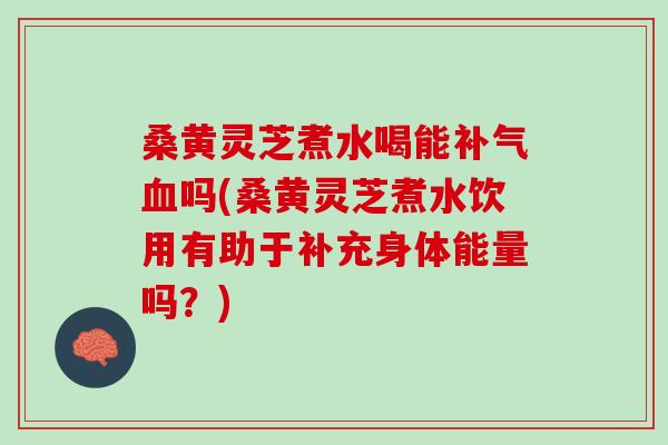 桑黄灵芝煮水喝能补气血吗(桑黄灵芝煮水饮用有助于补充身体能量吗？)