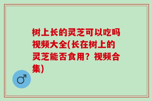 树上长的灵芝可以吃吗视频大全(长在树上的灵芝能否食用?视频合集) 树上长的灵芝可以吃吗视频大全(长在树上的灵芝能否食用?视频合集)