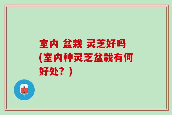 室内 盆栽 灵芝好吗(室内种灵芝盆栽有何好处？)