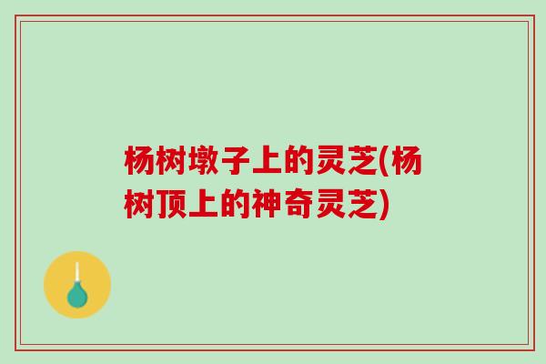 杨树墩子上的灵芝(杨树顶上的神奇灵芝)