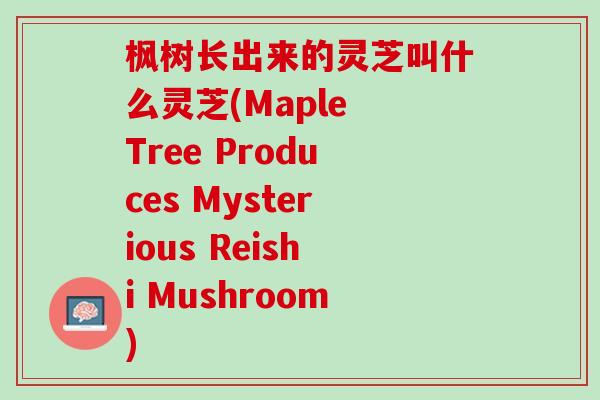 枫树长出来的灵芝叫什么灵芝(Maple Tree Produces Mysterious Reishi Mushroom)