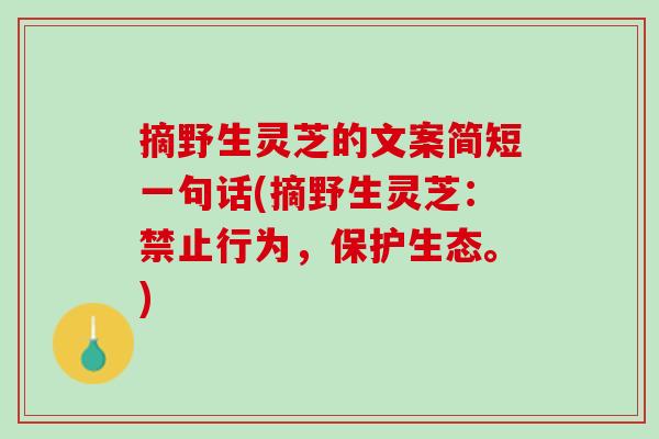 摘野生灵芝的文案简短一句话(摘野生灵芝：禁止行为，保护生态。)