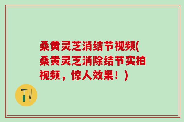 桑黄灵芝消结节视频(桑黄灵芝消除结节实拍视频,惊人效果!) 桑黄灵芝消结节视频(桑黄灵芝消除结节实拍视频,惊人效果!)