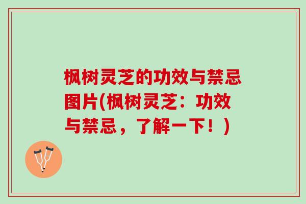枫树灵芝的功效与禁忌图片(枫树灵芝：功效与禁忌，了解一下！)