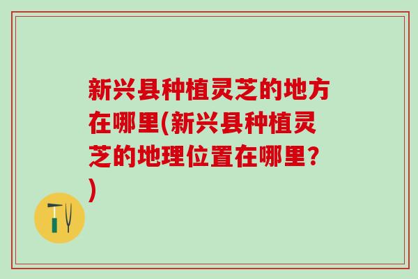 新兴县种植灵芝的地方在哪里(新兴县种植灵芝的地理位置在哪里？)