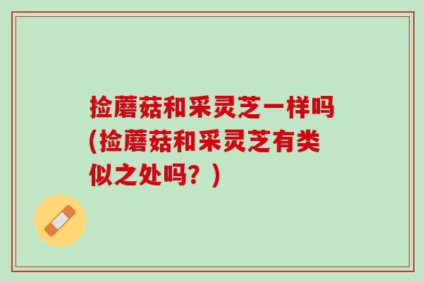 捡蘑菇和采灵芝一样吗(捡蘑菇和采灵芝有类似之处吗？)