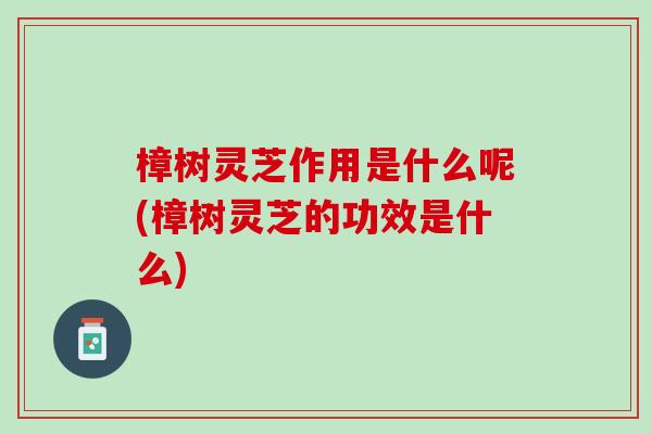 樟树灵芝作用是什么呢(樟树灵芝的功效是什么)