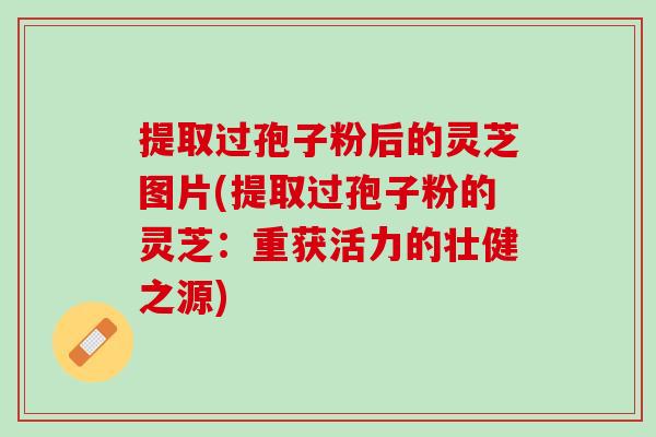 提取过孢子粉后的灵芝图片(提取过孢子粉的灵芝：重获活力的壮健之源)