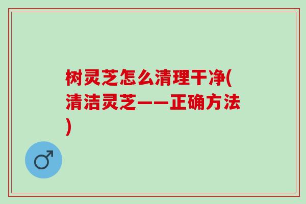 树灵芝怎么清理干净(清洁灵芝——正确方法) 树灵芝怎么清理干净(清洁灵芝——正确方法)
