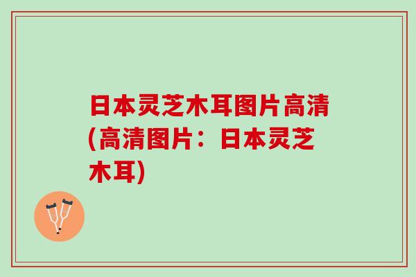 日本灵芝木耳图片高清(高清图片：日本灵芝木耳)