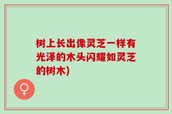 树上长出像灵芝一样有光泽的木头闪耀如灵芝的树木)
