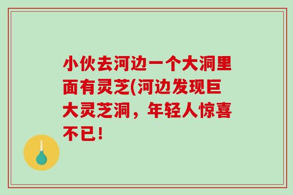 小伙去河边一个大洞里面有灵芝(河边发现巨大灵芝洞，年轻人惊喜不已！