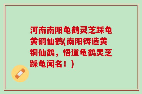 河南南阳龟鹤灵芝踩龟黄铜仙鹤(南阳铸造黄铜仙鹤，悟道龟鹤灵芝踩龟闻名！)