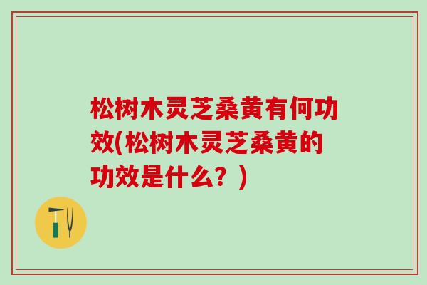松树木灵芝桑黄有何功效(松树木灵芝桑黄的功效是什么？)