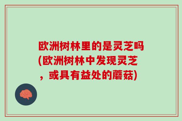 欧洲树林里的是灵芝吗(欧洲树林中发现灵芝，或具有益处的蘑菇)