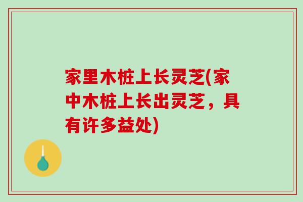 家里木桩上长灵芝(家中木桩上长出灵芝,具有许多益处) 家里木桩上长灵芝(家中木桩上长出灵芝,具有许多益处)