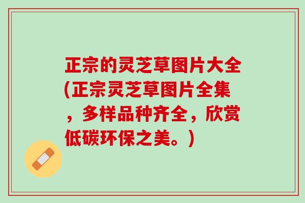 正宗的灵芝草图片大全(正宗灵芝草图片全集，多样品种齐全，欣赏低碳环保之美。)