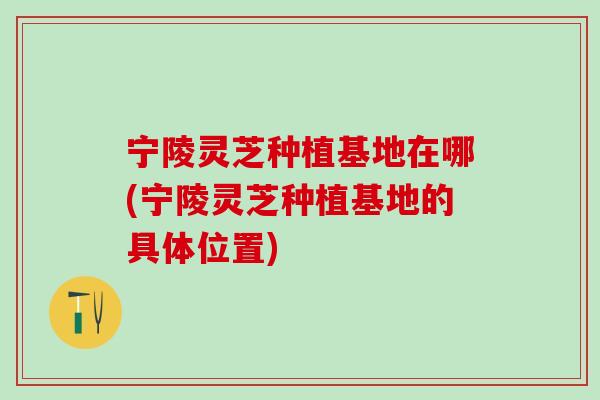 宁陵灵芝种植基地在哪(宁陵灵芝种植基地的具体位置)
